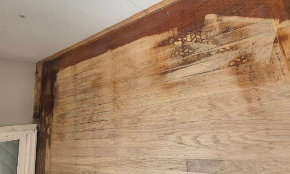 Roughing exposes pet stains Mountain View CA